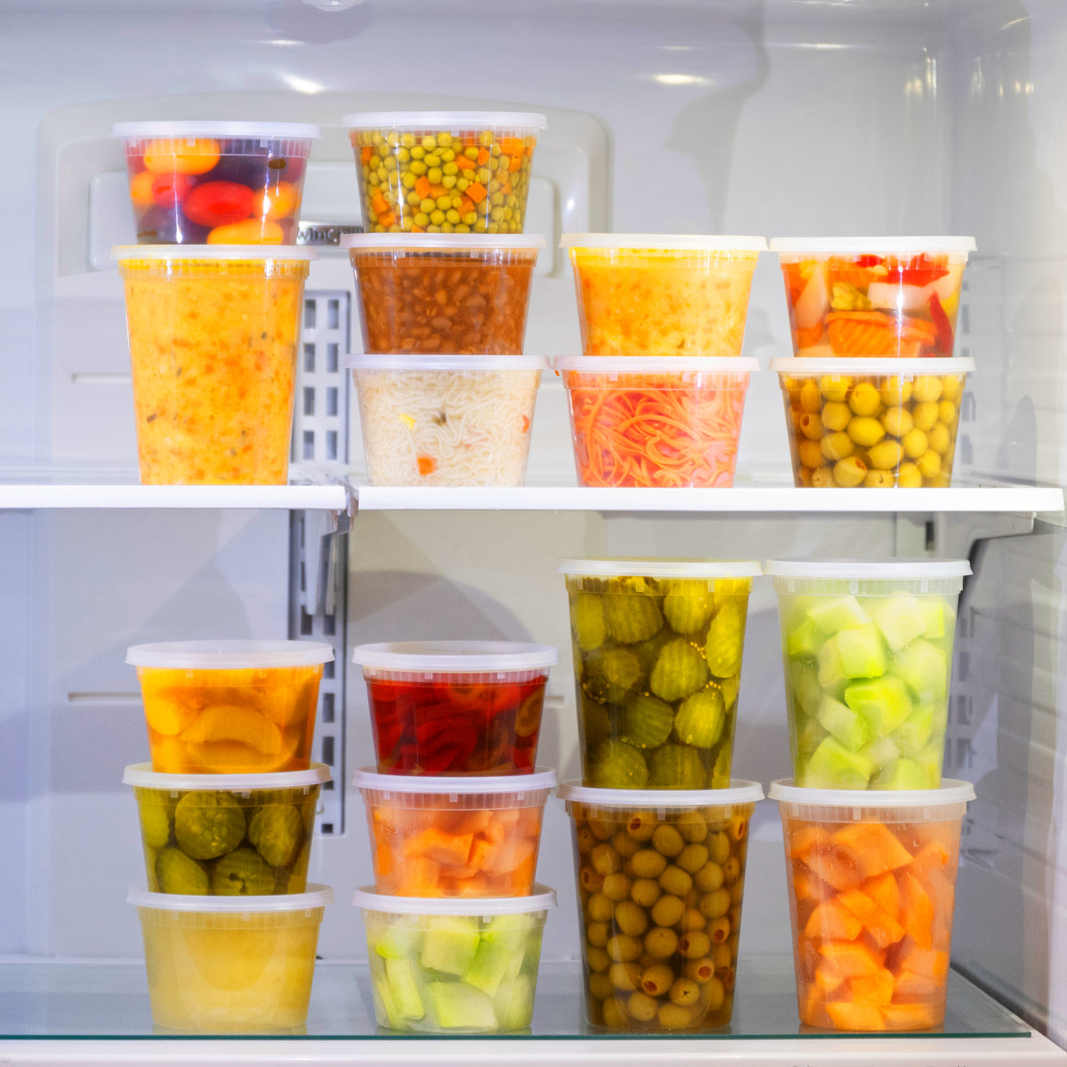 Domonkos 16oz. Food Storage Container (Set of 48)